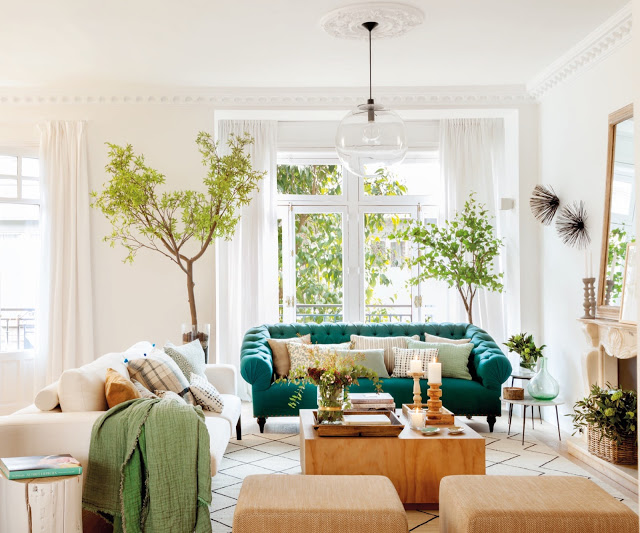 Plante de interior și culori elegante într-un apartament din Madrid